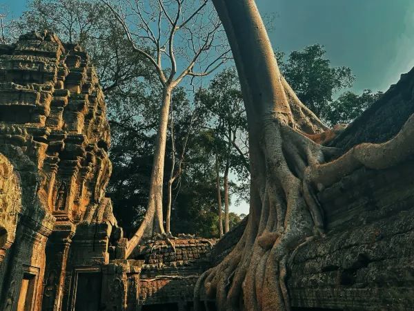 Angkor Wat 72-Hour Temple Adventure