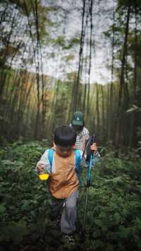 成都1.5小時｜一條較為野性的徒步登山路線。