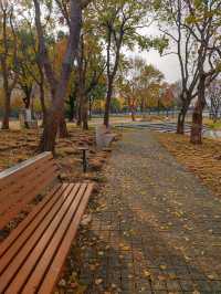 遠香湖公園此刻已是深秋！！！