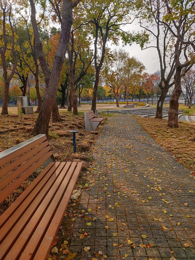 遠香湖公園此刻已是深秋！！！