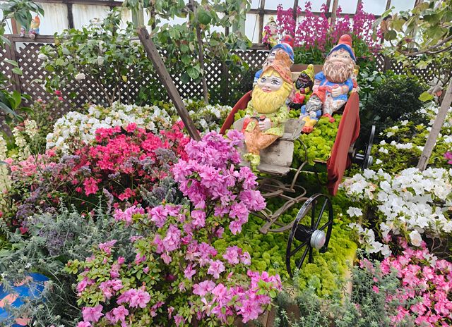 芝加哥林肯公園溫室植物園：自然的魅力之旅