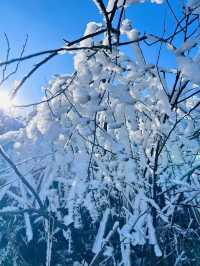 廣東周邊也能欣賞的雪景聖地