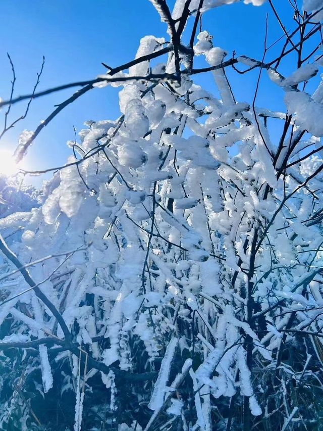 廣東周邊也能欣賞的雪景聖地