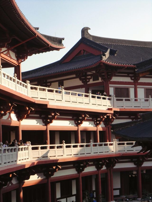廣州新景赤松宮：古風新聖地裡的華麗轉身