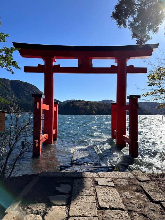 元旦假期 體驗七天日本生活