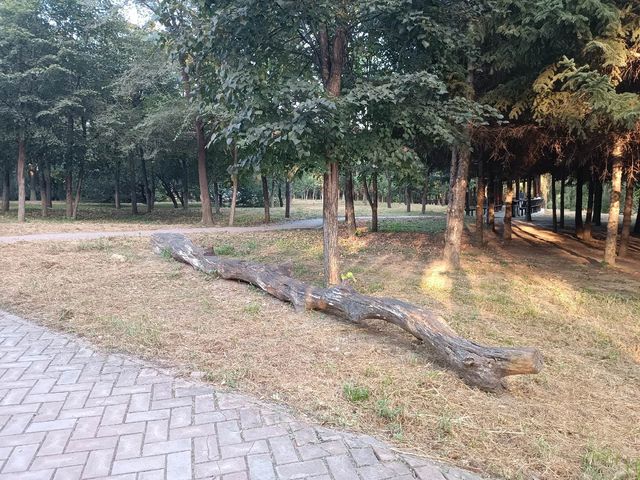 撫順月牙島生態公園：城市中的詩意綠洲