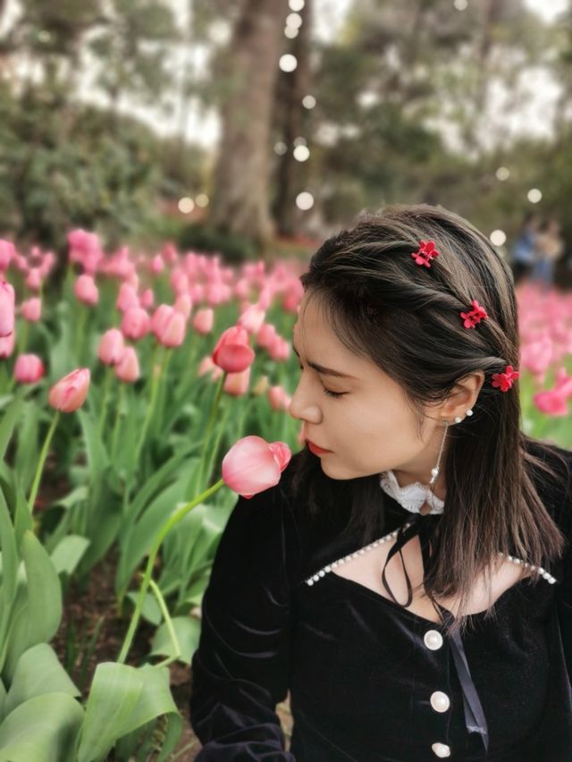 春日限定鬱金香 | 仙女們快來賞花