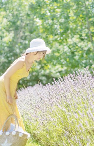 Take the kids to Melbourne's Mornington Peninsula to visit Ashcombe Maze & Lavender Gardens