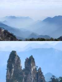 live 圖的莽山讓我墜入著無盡的雲海之中