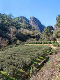 武夷山3日暢遊 要去景點大揭秘