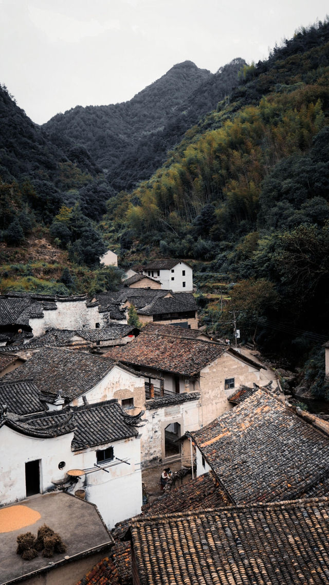 武義鮑村，感受原始鄉土氣息！