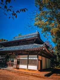 6日暢遊日本 盡享溫泉之旅