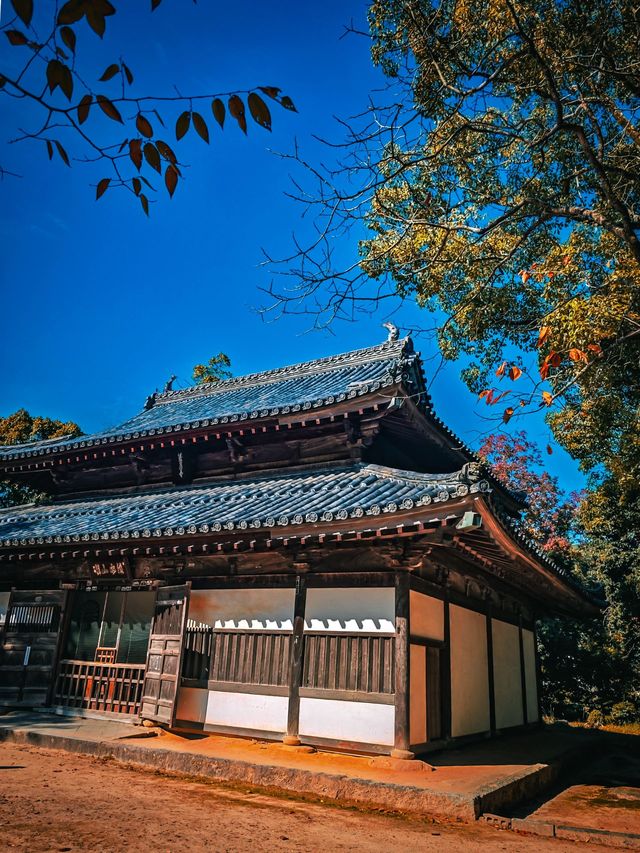 6日暢遊日本 盡享溫泉之旅
