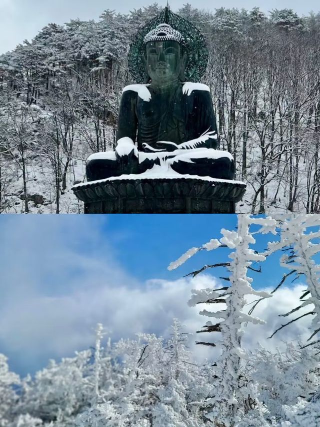 打卡平昌郡 這個冬天你值得擁有