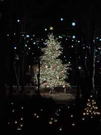 Experience a Magical Christmas at Karuizawa Highland Church in 2024