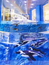 住進海昌企鵝酒店，開啟夢幻親子之旅
