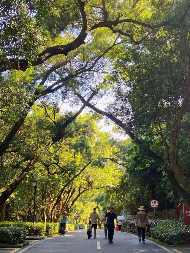 一座建在山上的公園，山頂可俯瞰到珠澳美景