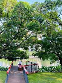 被這個公園治癒…周末遛娃 散步必逛四海公園