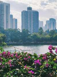 四海公園的浪漫冬日