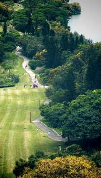 高山水庫變成了湖·高空步道美景盡收