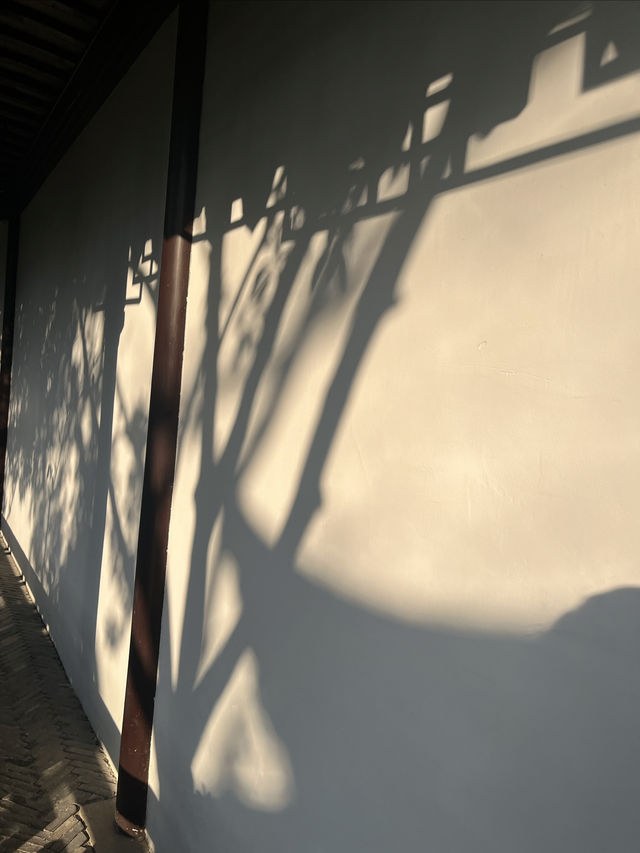 蘇州一日，兩萬步打卡小眾園林