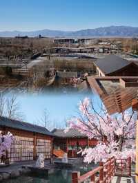 延慶世園公園花燈節｜全攻略