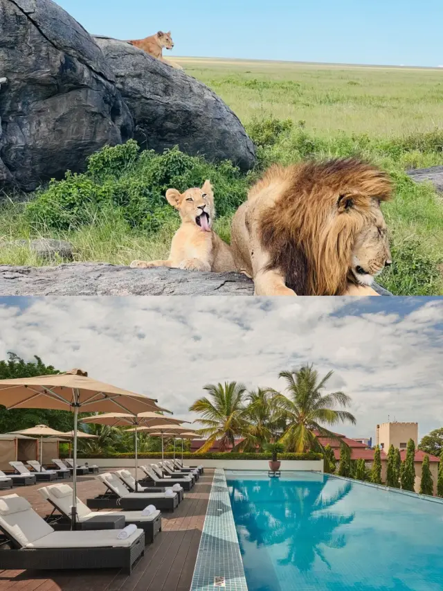 คู่มือการเดินทางไปดาร์ เอส ซาลาม คุณพร้อมหรือยัง?