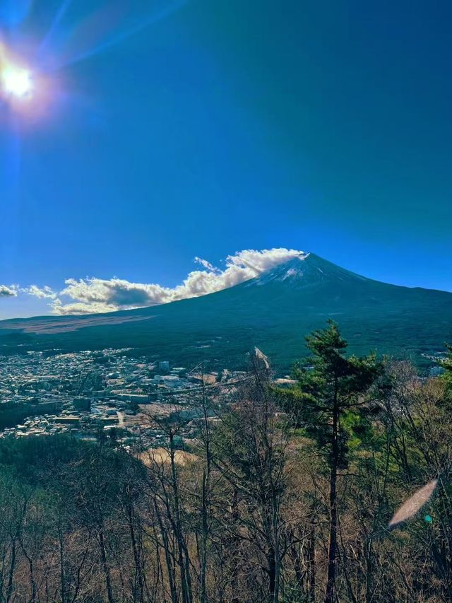 日本6日遊 老友記行程不可錯過