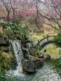離開綿陽前一定要逛一趟這個寶藏公園