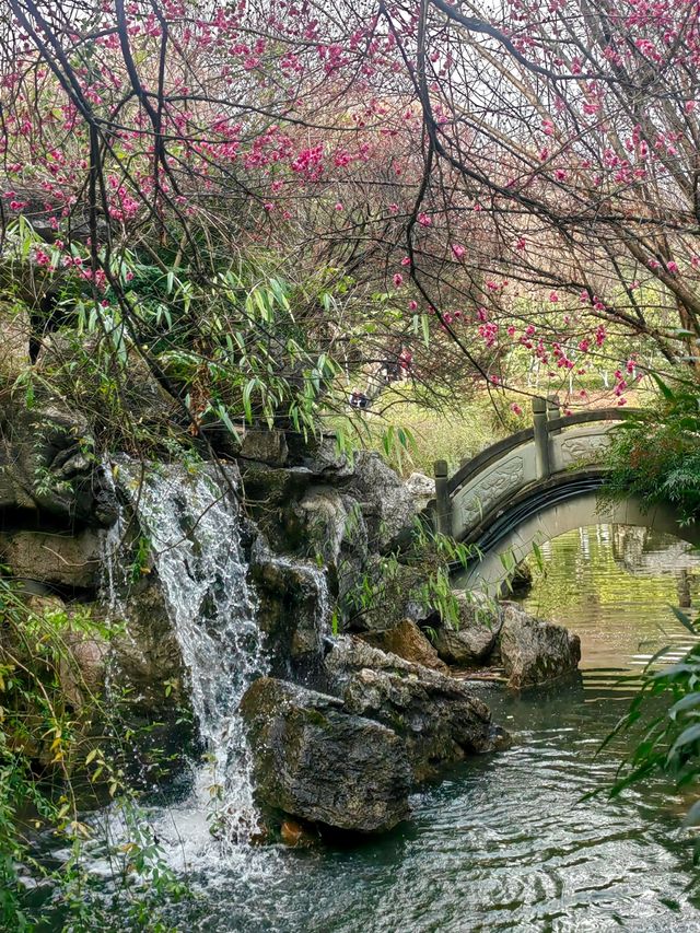 離開綿陽前一定要逛一趟這個寶藏公園