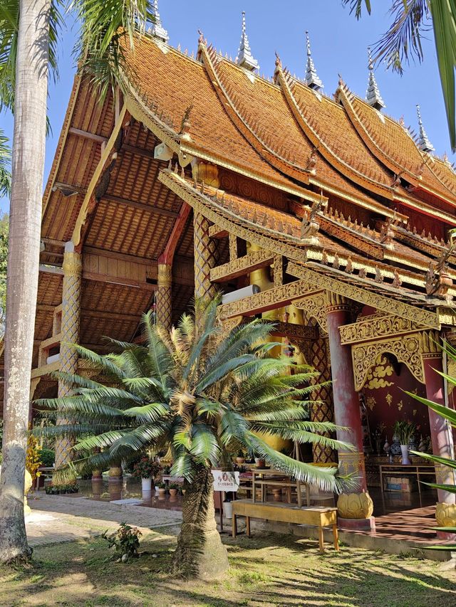 西雙版納植物園探秘 不踩雷攻略來啦