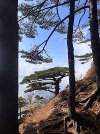 黃山2日遊｜老友出行 經典路線必打卡