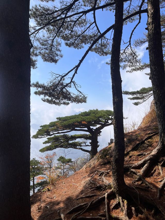 黃山2日遊｜老友出行 經典路線必打卡
