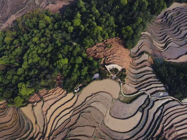 雲南昆明呈貢梁王山和元陽梯田