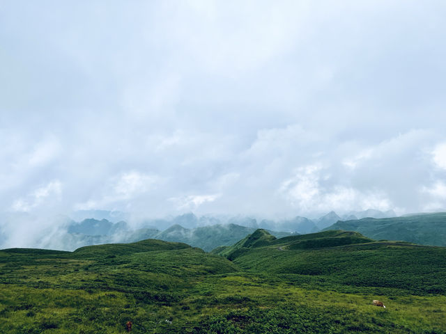 雨霧中的阿西里西韭菜花坪，不用濾鏡就能拍出的山水畫