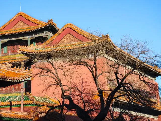 A detailed guide to the Forbidden City, taking you through time and space