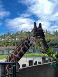 🦒 中山的動物樂園 - 紫馬嶺動物園 🦒