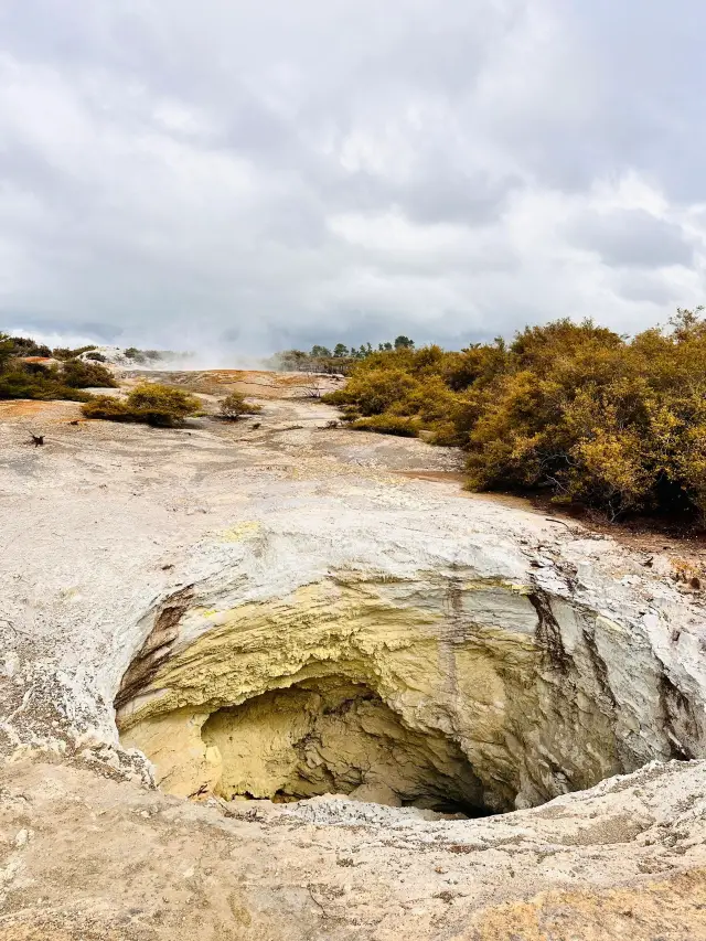 뉴질랜드 12일 여행 남북섬 완전 정복