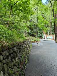 吉林通化龍灣群國家森林公園：大自然的夢幻仙境