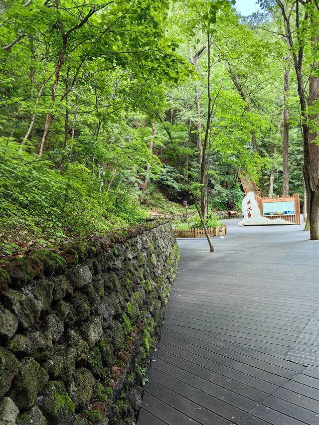 吉林通化龍灣群國家森林公園：大自然的夢幻仙境