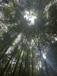 每周一山| 欽州畢業線-王崗山～畢個業