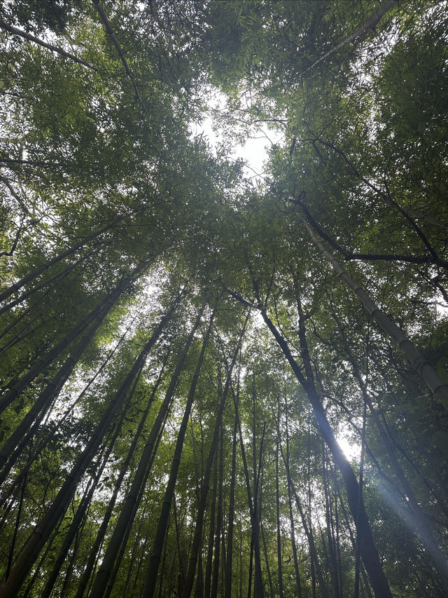 每周一山| 欽州畢業線-王崗山～畢個業