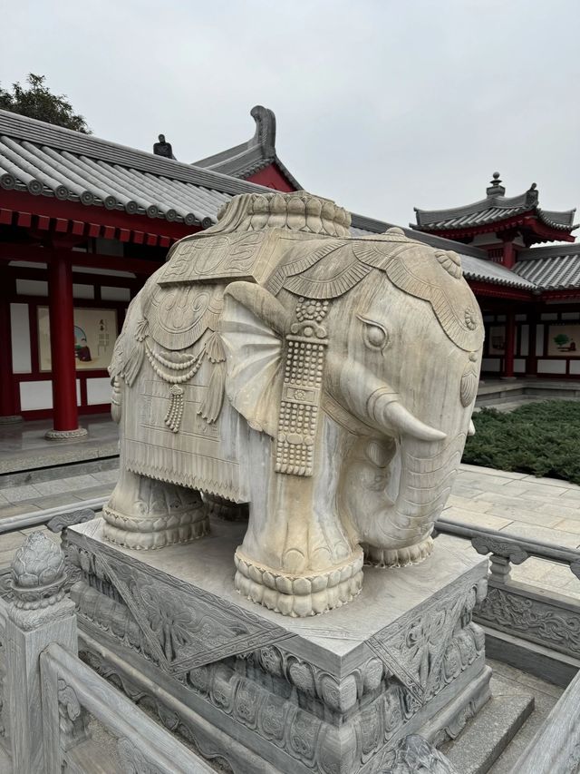 西安兵馬俑-華清宮-華山深度遊 解鎖歷史的千年密碼