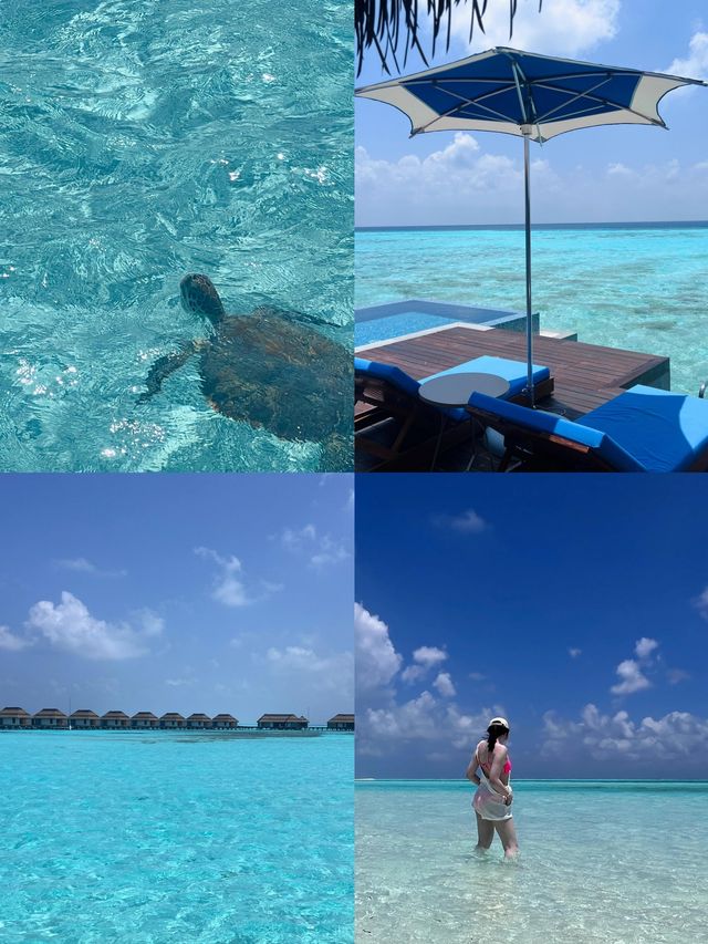 呼拉島：藏喺大海深處嘅夢幻之境