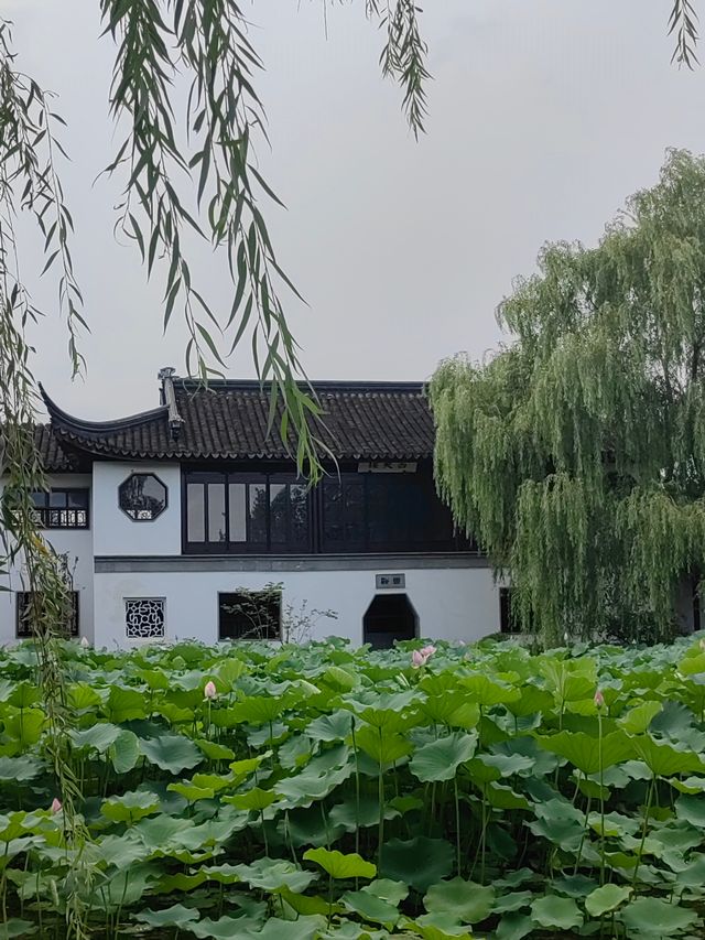 早知園博園，何必下江南