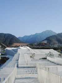 探索宣紙文化園，解開「紙壽千年」的奧秘