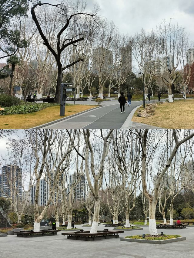 上海和平公園