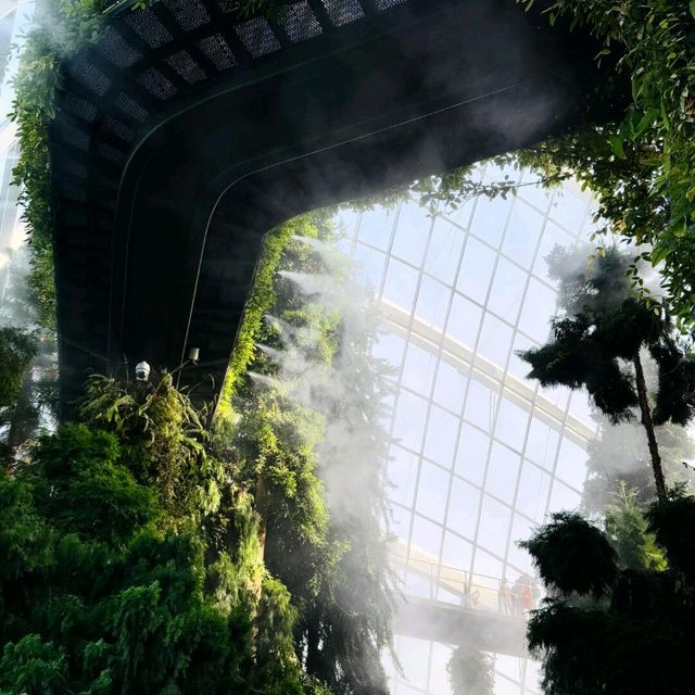 在新加坡，掉進巨型空中花園