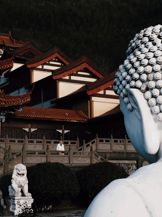小眾一日遊｜我在南京發現了人間仙境海天佛國
