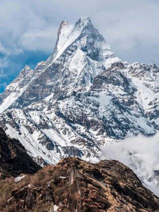 An 8-Day Exploration of Nepal: A Stunning Forest Journey